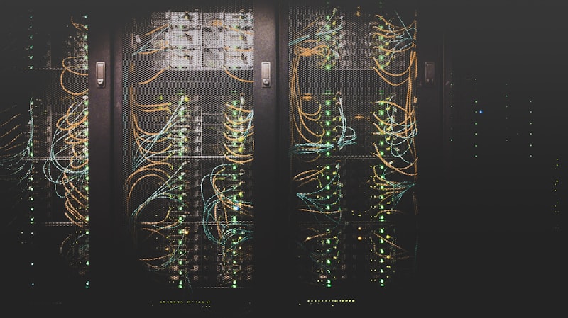 Web Hosting and Server Infrastructure